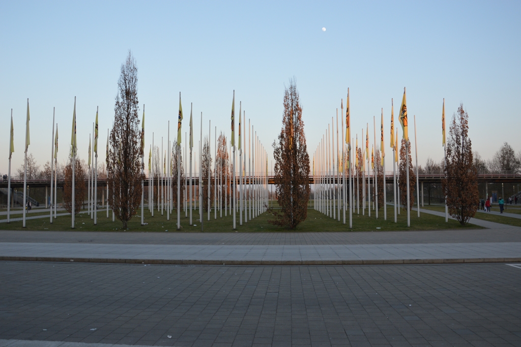 DSC_0323.JPG