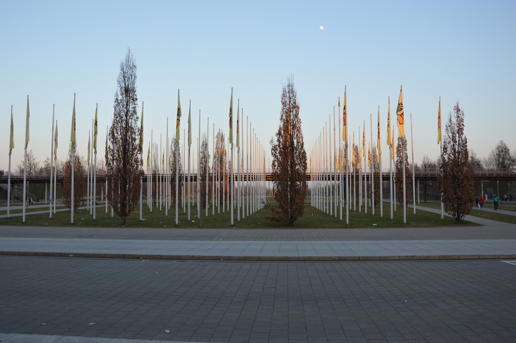 DSC_0324.JPG