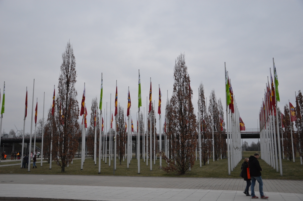 DSC_0116.JPG