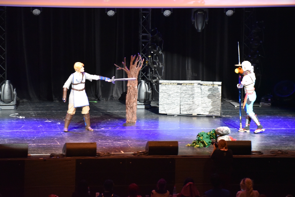 Connichi2015WCS_0062.jpg