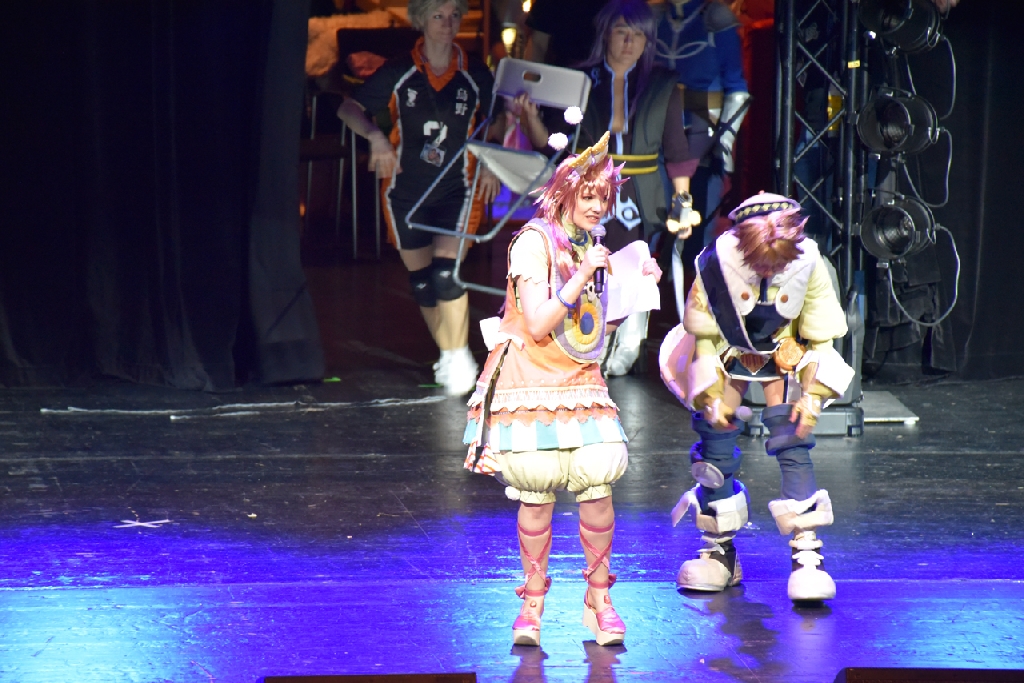 Connichi2015WCS_0070.jpg