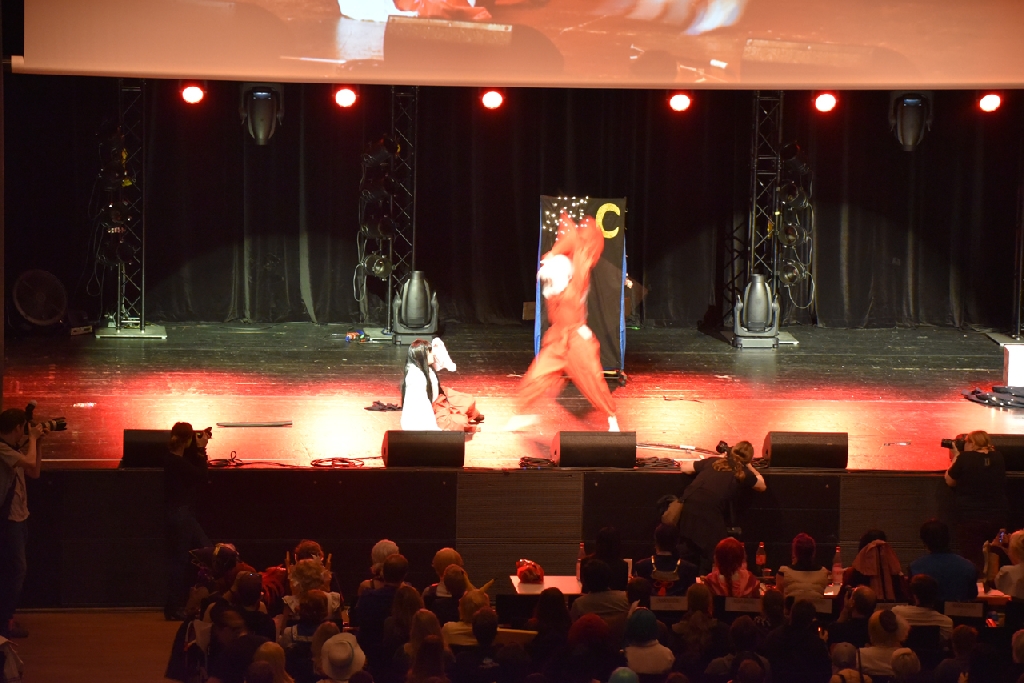 Connichi2015WCS_0144.jpg