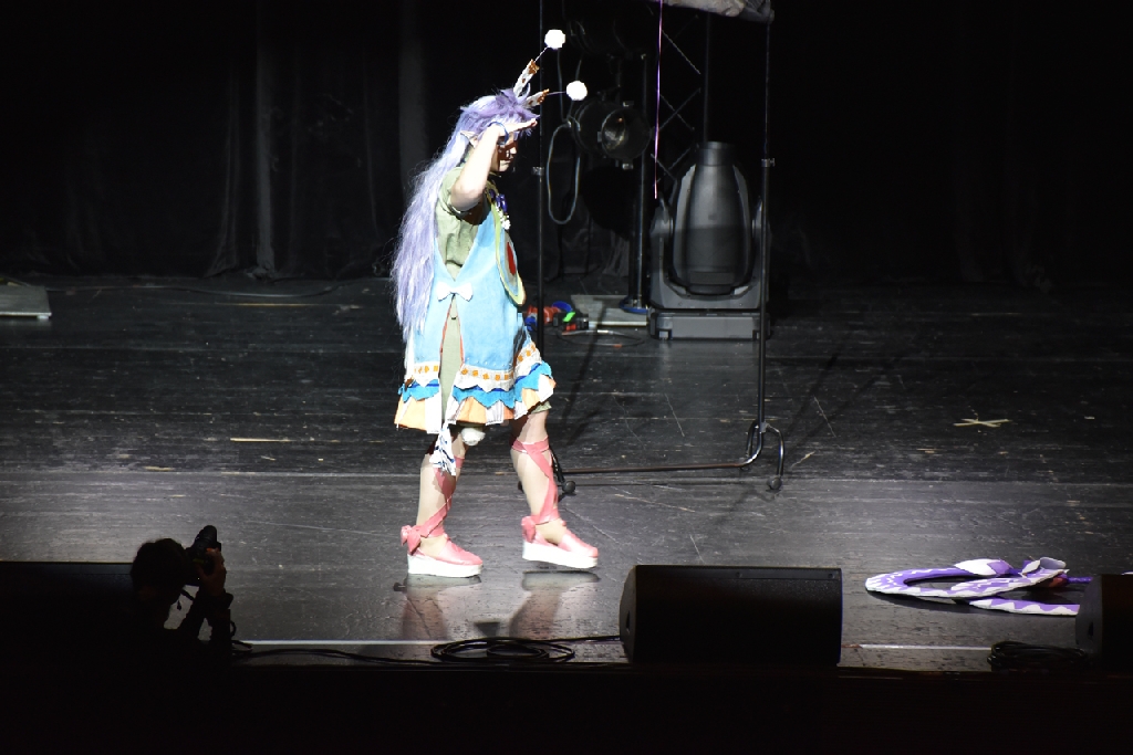 Connichi2015WCS_0152.jpg