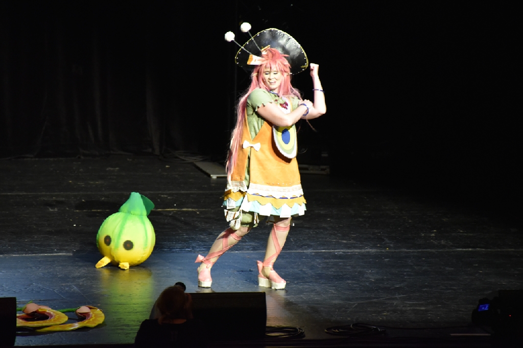 Connichi2015WCS_0157.jpg
