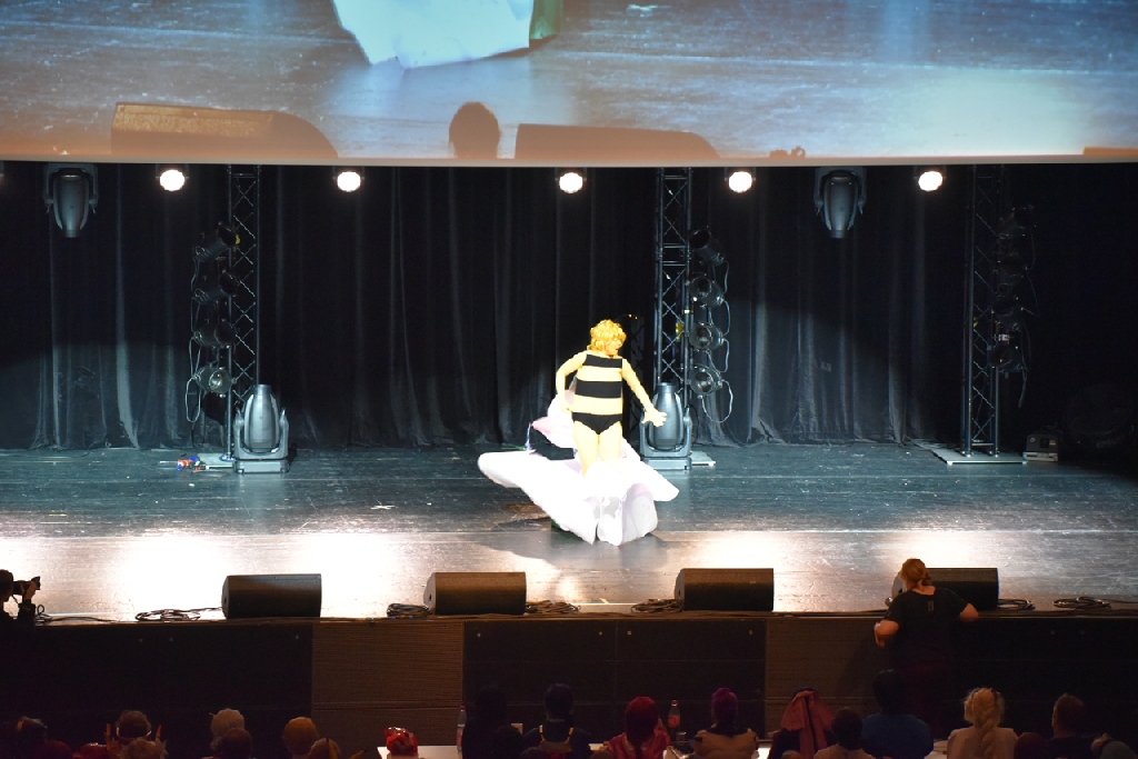 Connichi2015WCS_0202.jpg