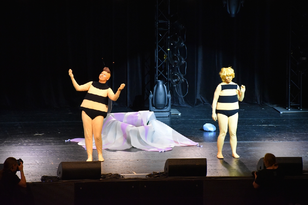Connichi2015WCS_0213.jpg