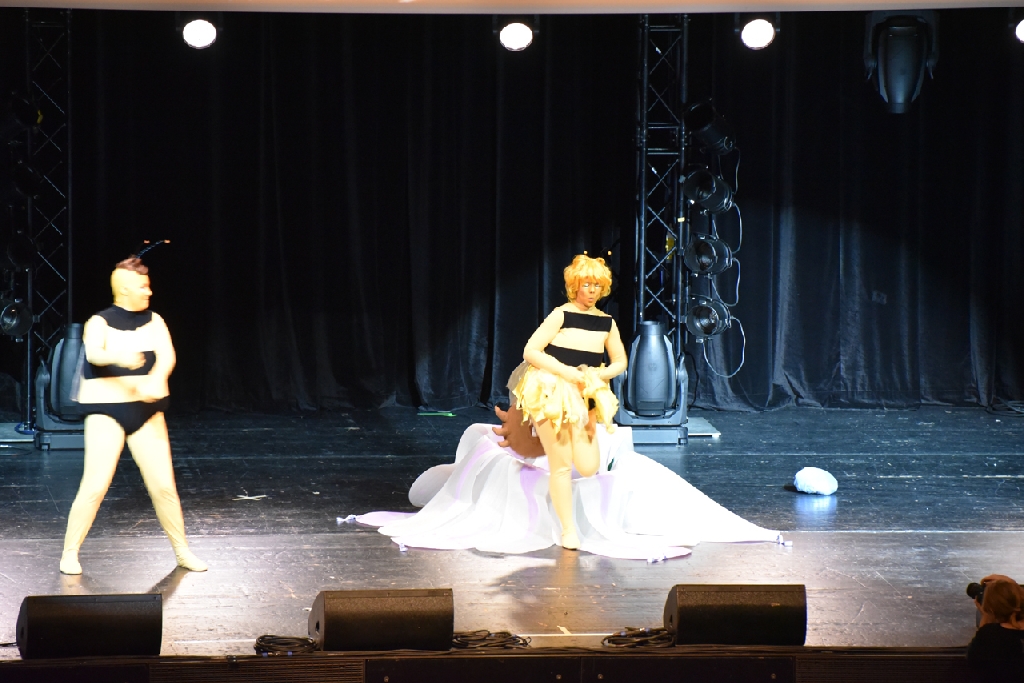 Connichi2015WCS_0220.jpg