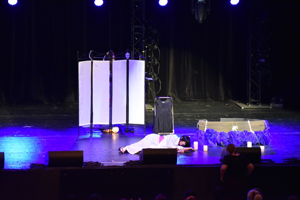 Connichi2015WCS_0253.jpg