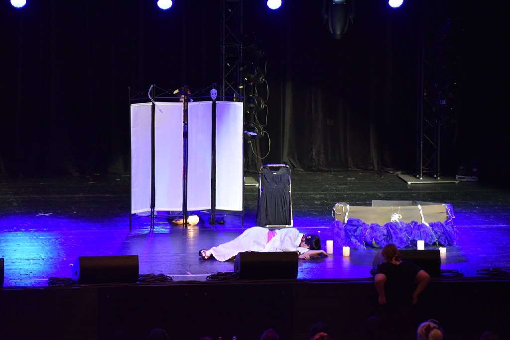 Connichi2015WCS_0252.jpg