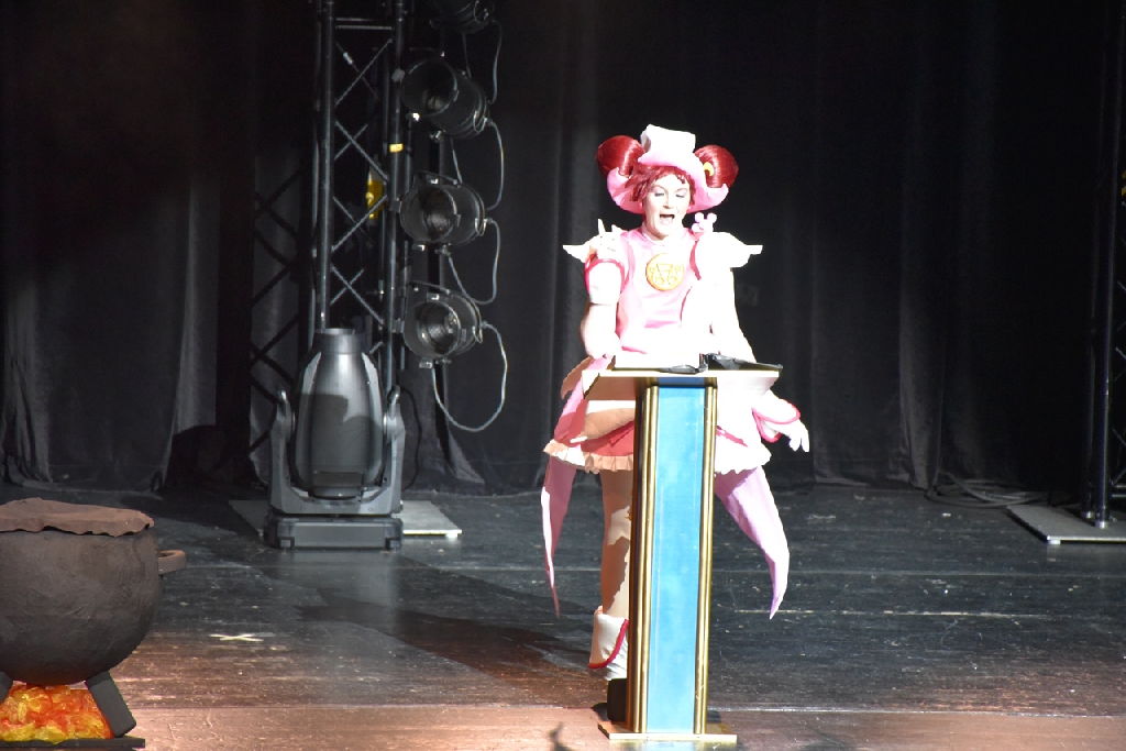 Connichi2015WCS_0278.jpg