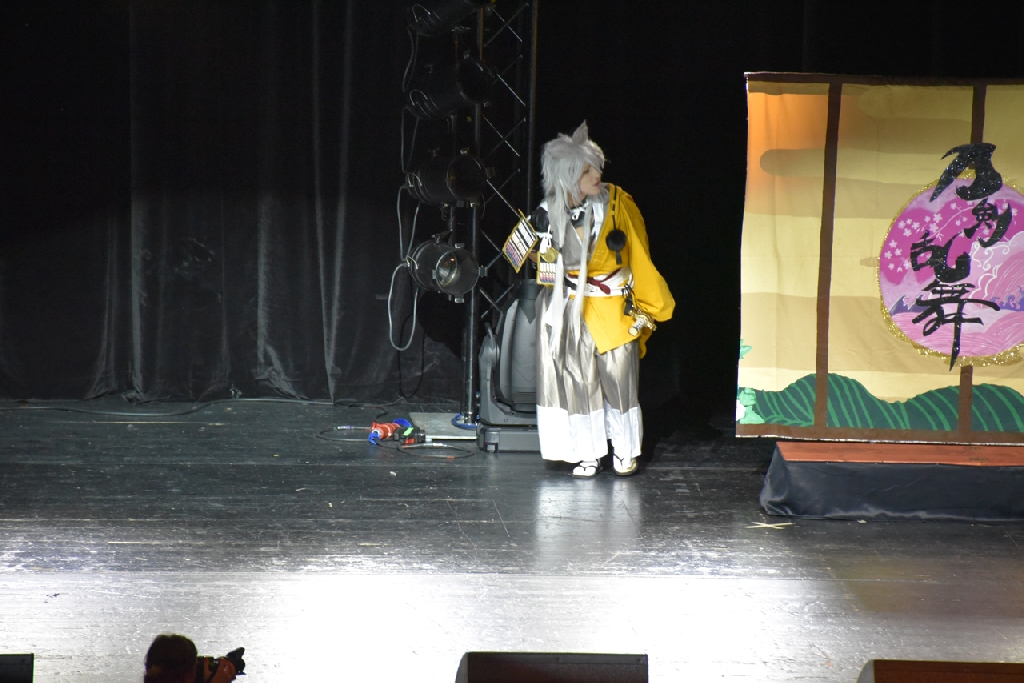 Connichi2015WCS_0295.jpg