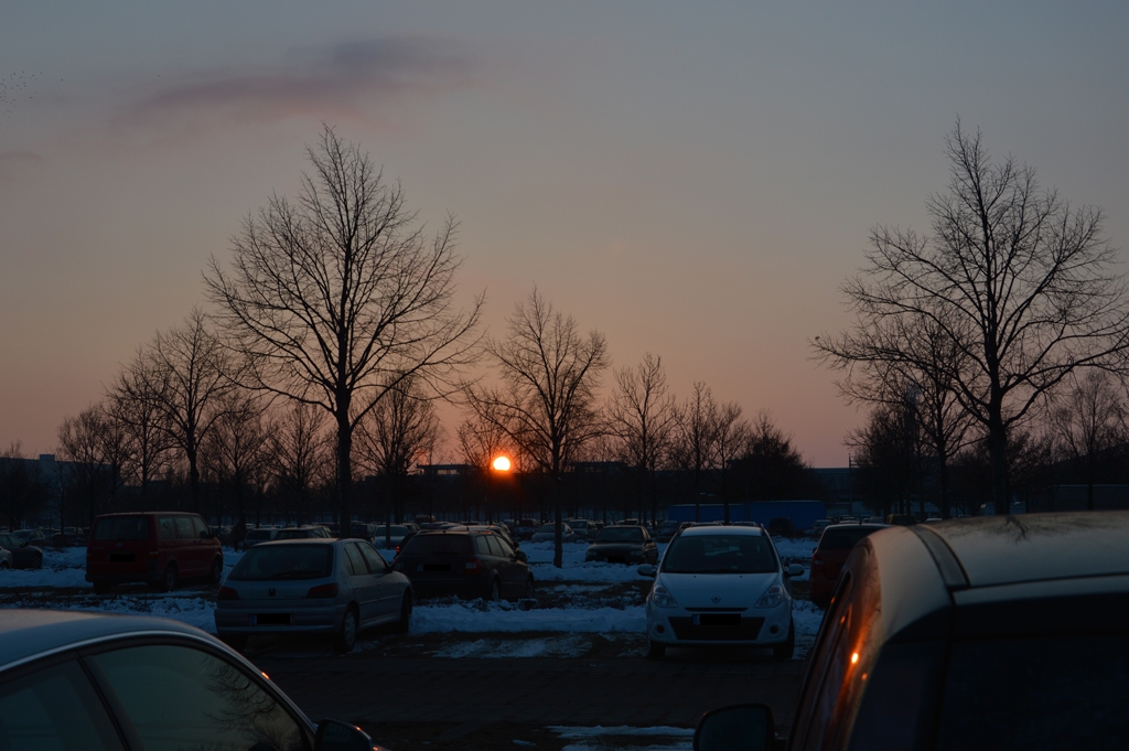 DSC_0254.JPG