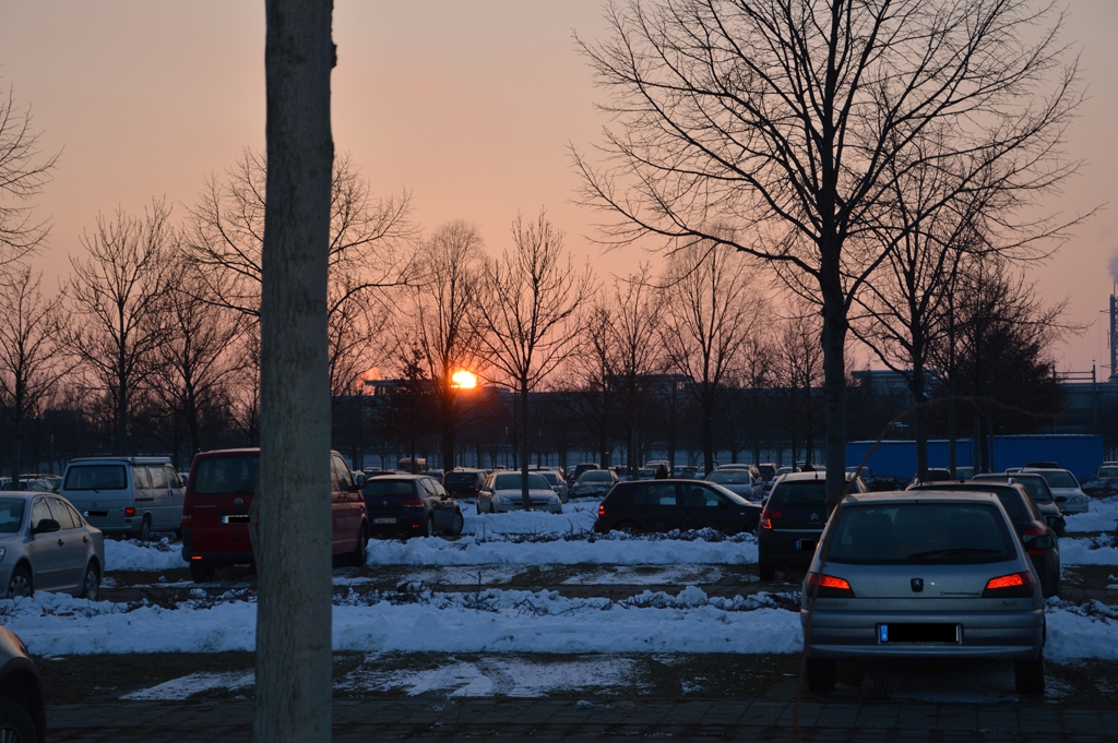 DSC_0257.JPG