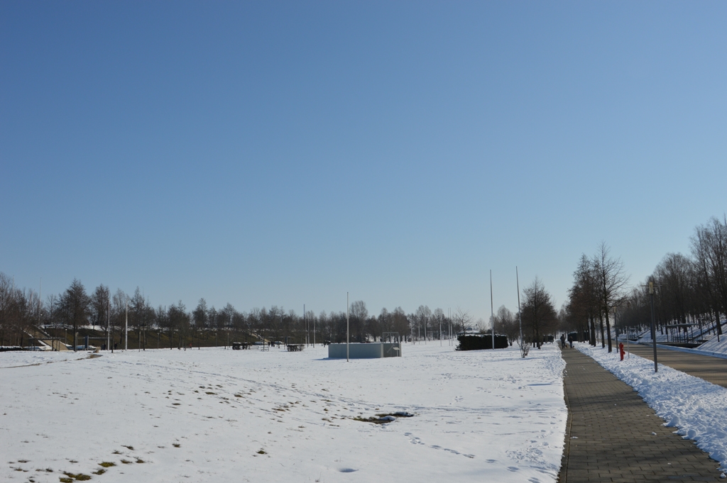 DSC_0016.jpg