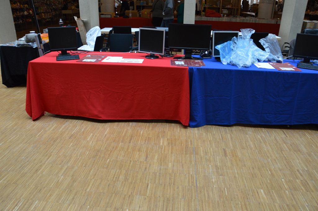 Connichi 2013