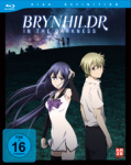 Brynhildr in the Darkness – Blu-ray Vol. 1 – Limited Edition mit Sammelbox Brynhildr in the Darkness – Blu-ray Vol. 1 – Limited Edition mit Sammelbox