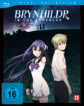 Brynhildr in the Darkness – Blu-ray Vol. 1 – Limited Edition mit Sammelbox